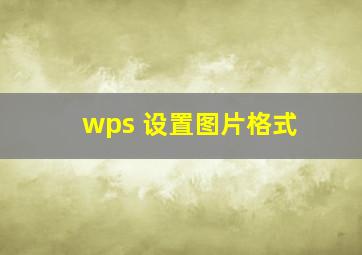 wps 设置图片格式